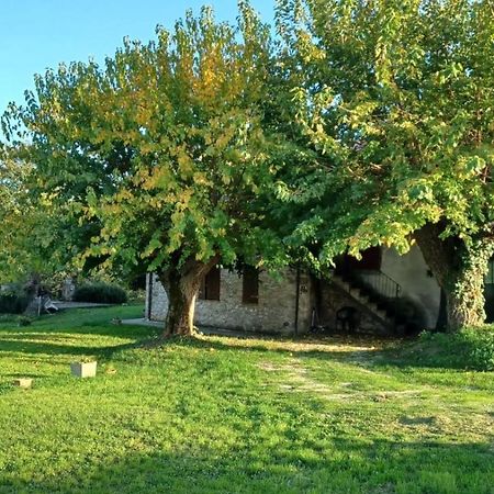 Agriturismo Canonici Амелиа Екстериор снимка
