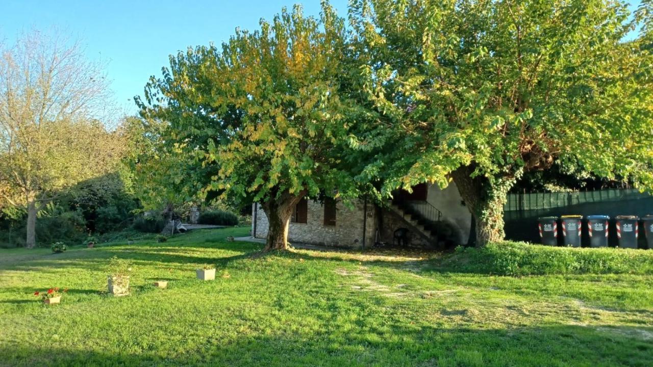Agriturismo Canonici Амелиа Екстериор снимка